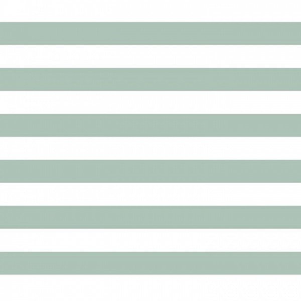 Popeline Stripe - col. 013 mint/weiß