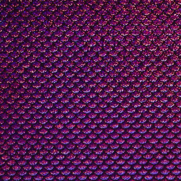 Folien-Jersey Schuppen - Pink - Stück à 1,2m