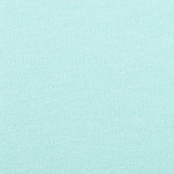 French Terry Digital Pre-Dyed Smooth - col. 007 mint