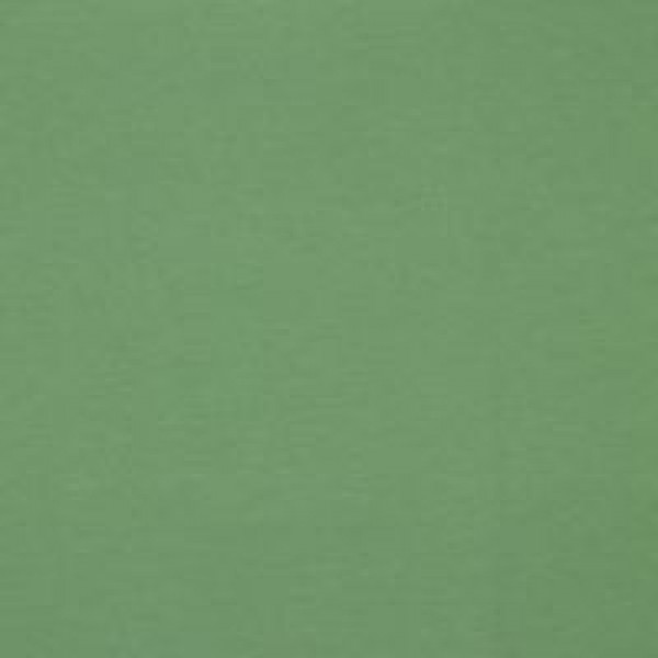 Soft Sweat Uni GOTS - col. 063 mint green